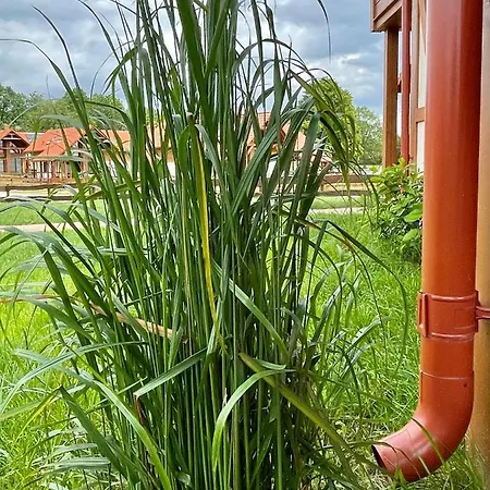 Dom wakacyjny Kaszubska Odskocznia Ostoja Bukowo *