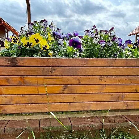 Kaszubska Odskocznia Ostoja Bukowo Dom wakacyjny