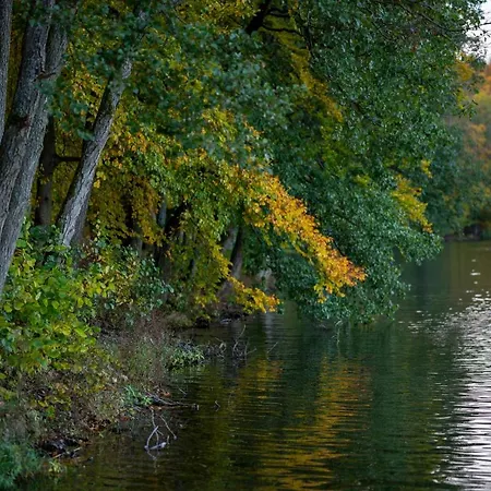 Dom wakacyjny Kaszubska Odskocznia Ostoja Bukowo