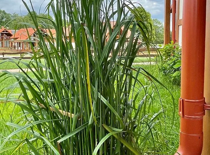 Semesterbostad Kaszubska Odskocznia Ostoja Bukowo *